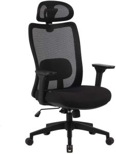 Cadeira Office Elements Astra Pro, Até 140Kg, Assento Tecido Espuma D30, Encosto Mesh Premium, Base em Nylon e Fibra de Vidro, Preta